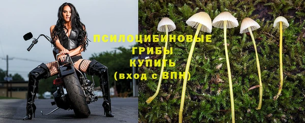 амф Усинск