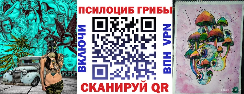 Галлюциногенные грибы Psilocybe Вытегра