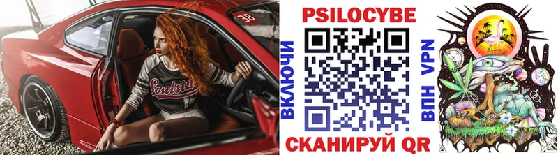 Псилоцибиновые грибы мухоморы  Купить где  Вытегра 