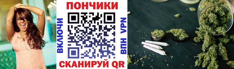 Шишки марихуана план Вытегра